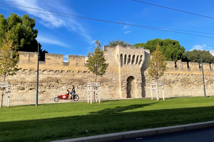 entretien des remparts de la ville d'Avignon